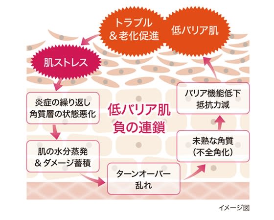トラブル連鎖を止めて健やかな肌サイクルへ前進! トラブル連鎖を止めて健やかな肌サイクルへ前進!