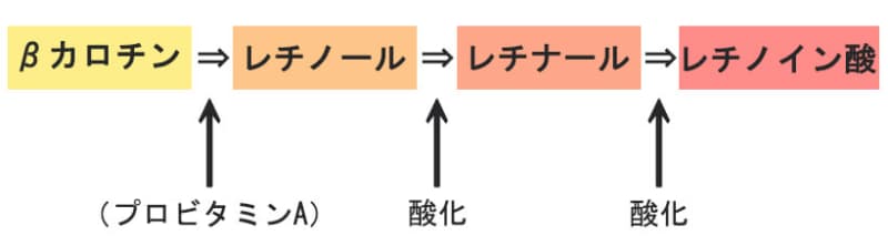 知ってるようで知らない ビタミンaって 肌と体に何をしてくれるの ビューティニュース 美容メディアvoce ヴォーチェ