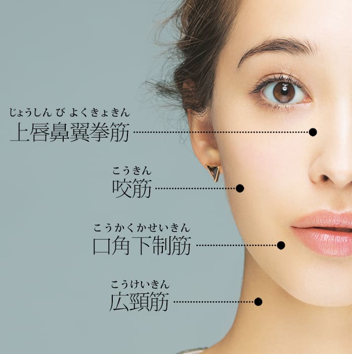 知ってますか 顔の筋肉 ほうれい線 038 二重あごと決別する方法 ビューティニュース 美容メディアvoce ヴォーチェ