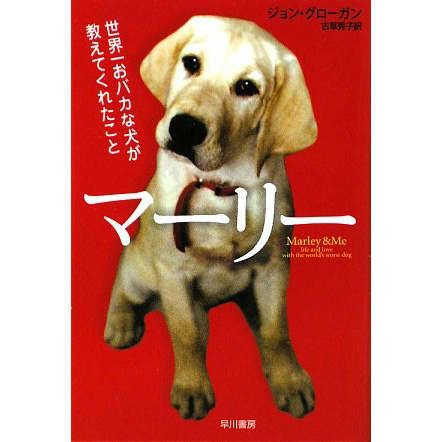 ビューティニュース Book Talk 町田康さんが語る 動物についての本 美容メディアvoce ヴォーチェ ビューティニュース Book Talk 町田康さんが語る 動物についての本 美容メディアvoce ヴォーチェ