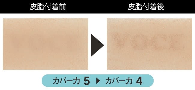 テスト6 SHISEIDO