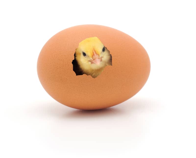 新しい自分に生まれ変わるつもりで