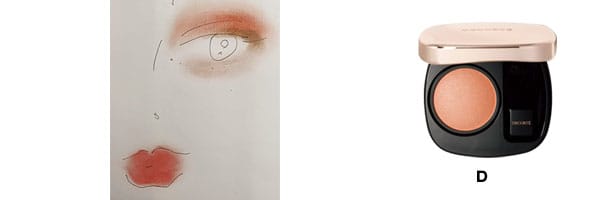 How toイラスト、パウダーブラッシュ