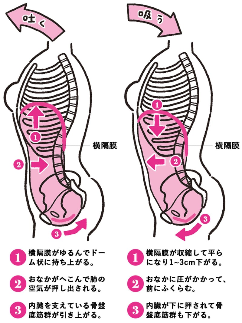 疲れない体になる 根来秀行教授に教わる正しい 腹式呼吸 レッスン コロナ不調がラクになる 呼吸法 美容メディアvoce ヴォーチェ