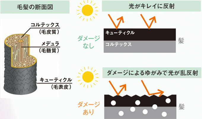 ツヤの正体は光の反射