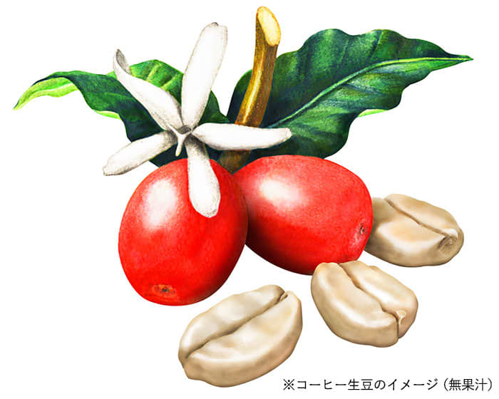 ※コーヒー生豆のイメージ(無果汁)