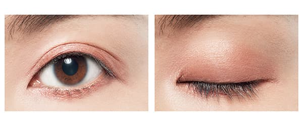 シャネル レ ベージュ パレット ルガール テンダー HOW TO