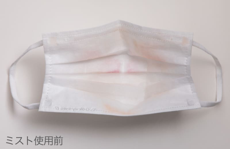 ミスト使用前