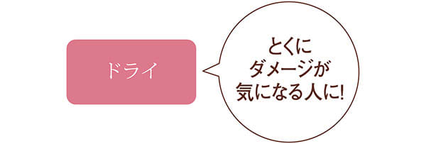 ドライ/とくにダメージが気になる人に!