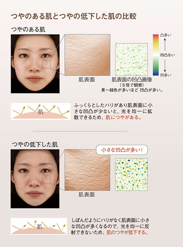 つやのある肌とつやの低下した肌の比較:【つやのある肌】ふっくらとしたハリがあり肌表面に小さな凹凸が少ないと、 光を均一に拡散できるため、 肌につやがある。/【つやの低下した肌】しぼんだようにハリがなく肌表面に小さな凹凸が多くなるので、 光を均一に反射できないため、 肌のつやが低下する。