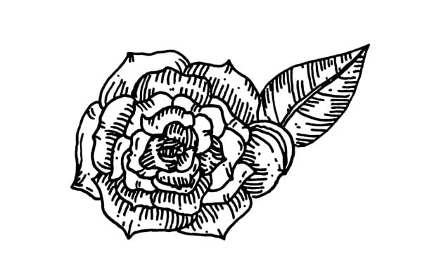 イラスト