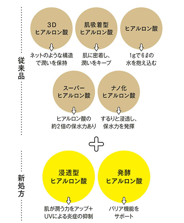 【従来品】3Dヒアルロン酸→ネットのような構造で潤いを保持/肌吸着型ヒアルロン酸→肌に密着し、潤いをキープ/ヒアルロン酸→1gで6リットルの水を抱え込む/スーパーヒアルロン酸→ヒアルロン酸の約2倍の保水力あり/ナノ化ヒアルロン酸→するりと浸透し、保水力を発揮
+
【新処方】浸透型ヒアルロン酸→肌が潤う力をアップ+UVによる炎症の抑制/発酵ヒアルロン酸→バリア機能をサポート