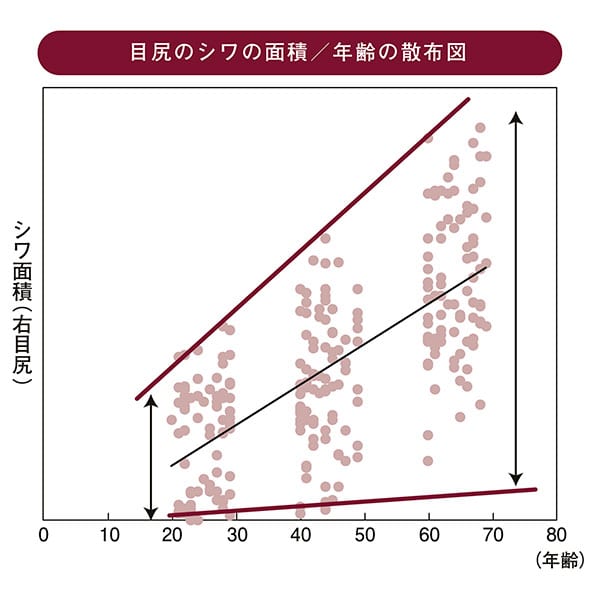 目尻のシワの面積/年齢の散布図