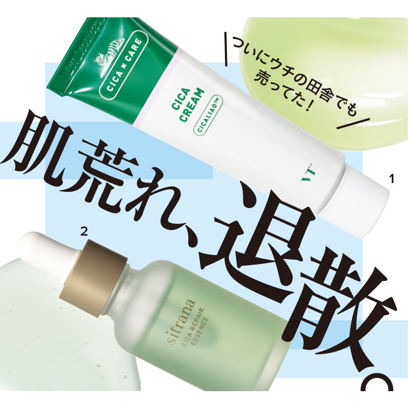 【第2位】CICA