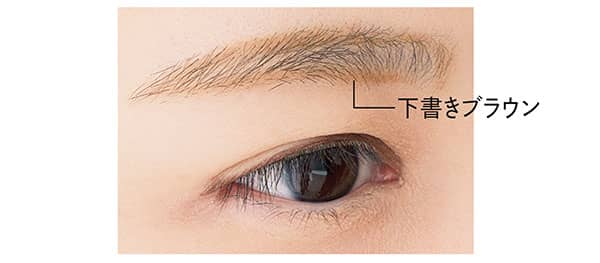 Eyebrow/下書きブラウン