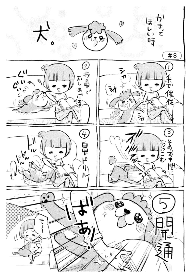 【マンガ】右を見ても左を見ても尊い…「犬と猫どっちも飼ってると毎日たのしい」に癒やしが詰まってた