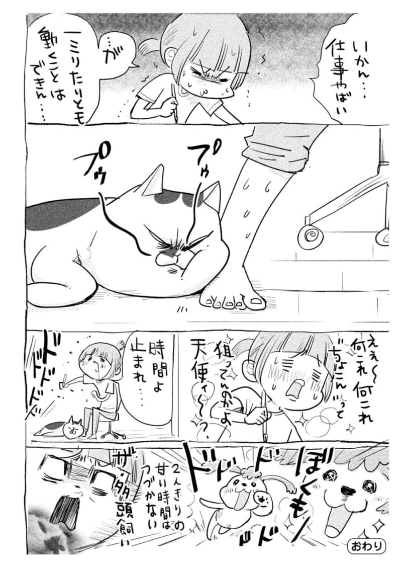【マンガ】右を見ても左を見ても尊い…「犬と猫どっちも飼ってると毎日たのしい」に癒やしが詰まってた