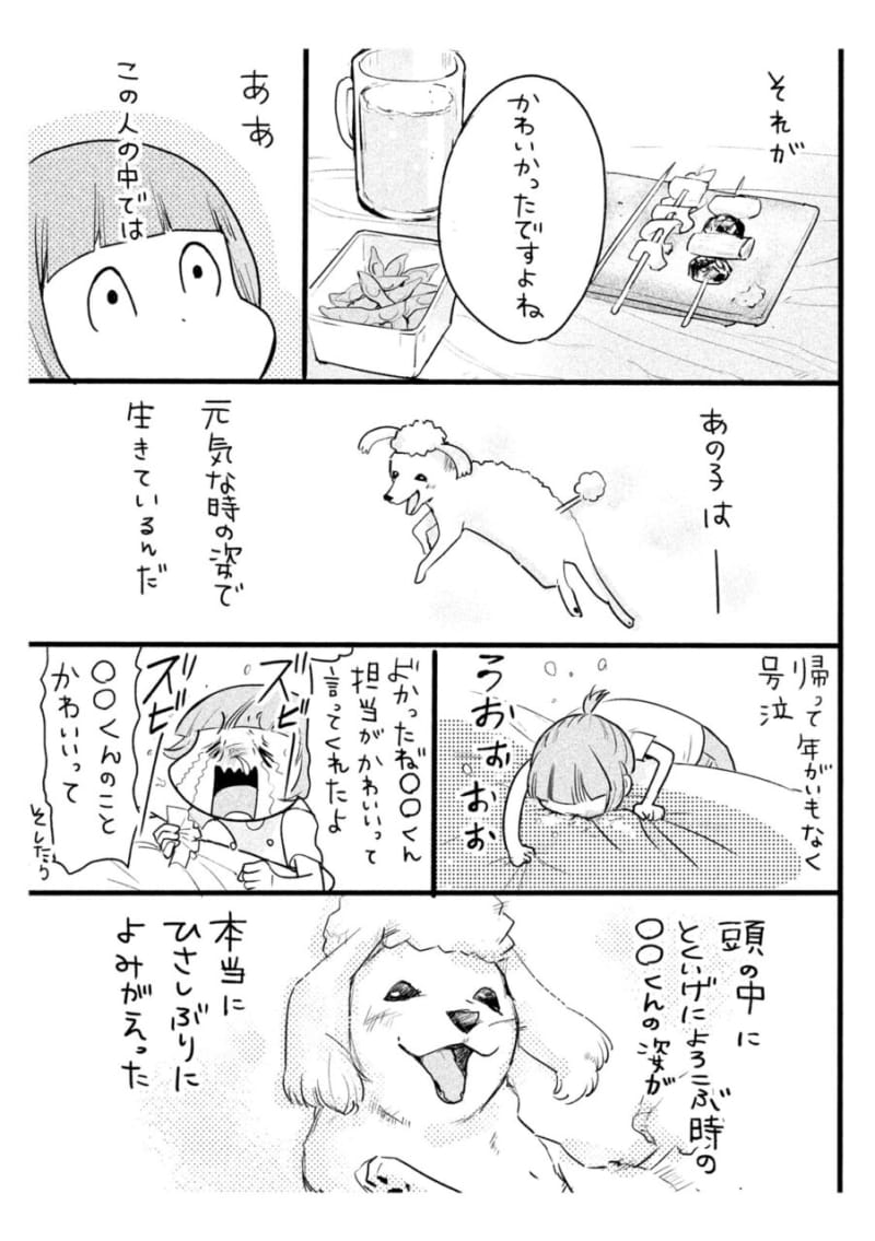 漫画 天使の犬くんvs悪魔の猫さま 犬猫どっちも飼ってると 究極の幸せ にたどり着いた Voceマンガサークル 美容メディアvoce ヴォーチェ 漫画 天使の犬くんvs悪魔の猫さま 犬猫どっちも飼ってると 究極の幸せ にたどり着いた Voceマンガサークル 美容メディアvoce ヴォーチェ