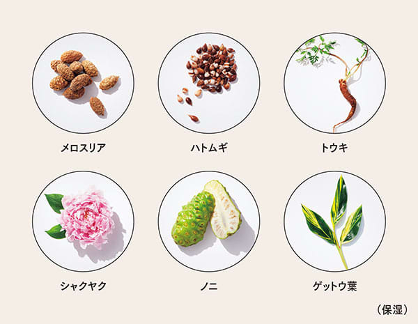 メロスリア・ハトムギ・トウキ・シャクヤク・ノニ・ゲットウ葉(保湿)