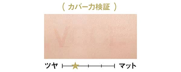カバー力検証/トーンパーフェクティング パレット
