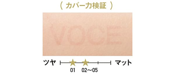 カバー力検証/ザ コンシーラー