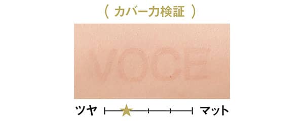カバー力検証/レッドトリック アイコンシーラー