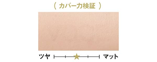 カバー力検証/スキンリフレクト フィックス コンシーラー