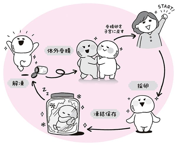 START!→採卵→凍結保存→解凍→体外受精→受精卵を子宮に戻す