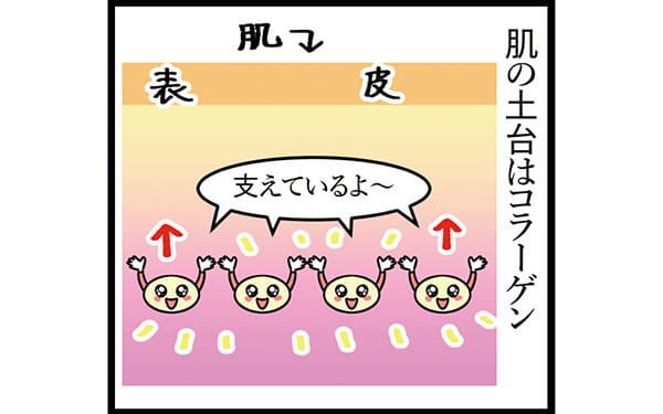 コラーゲンスキンメンケアリーフレット