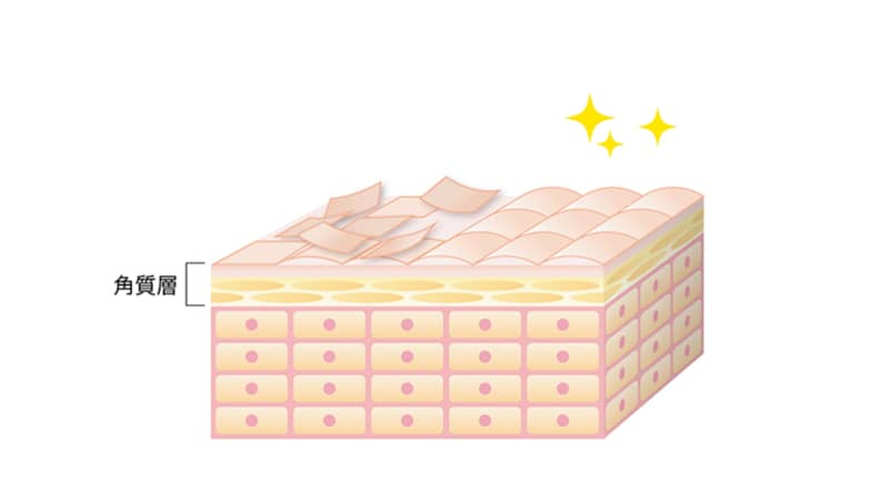 角質層