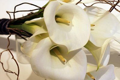 cvjecarnicaljubica.com