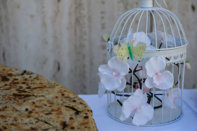 catering-dalmacija.hr