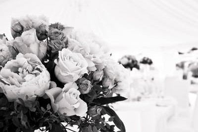 Golf vjenčanja Zaprešić.hr