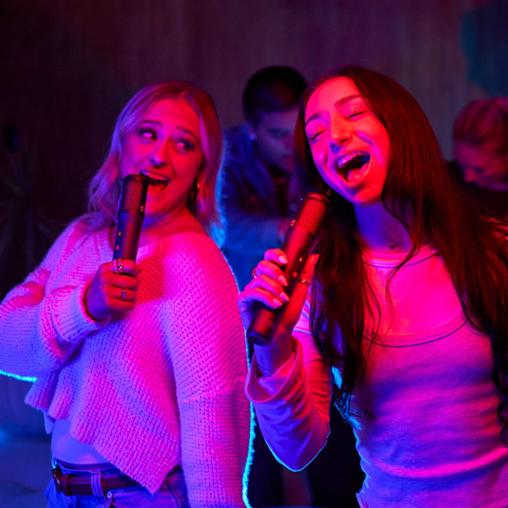 Wholesale cell phone accessory JBL - EasySing Mics 2-Pack - Black