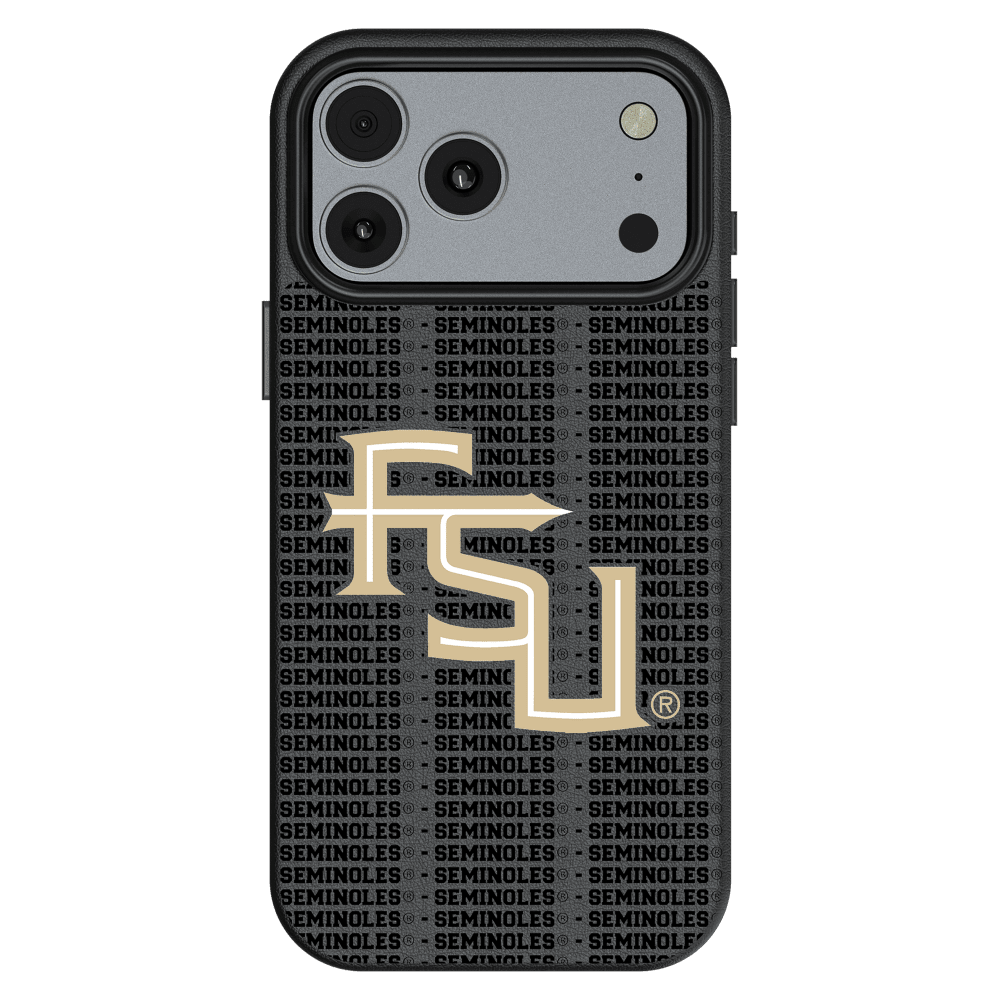 Wholesale cell phone accessory Keyscaper - MagSafe Phone Case for iPhone 17 Pro Max - Florida