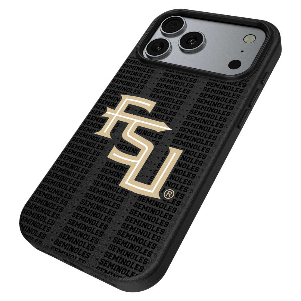 Wholesale cell phone accessory Keyscaper - MagSafe Phone Case for iPhone 17 Pro Max - Florida