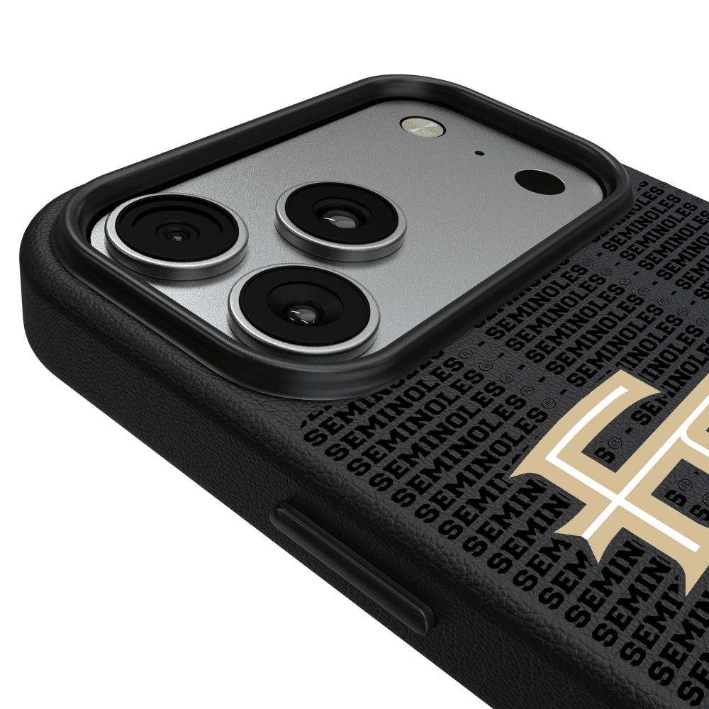 Wholesale cell phone accessory Keyscaper - MagSafe Phone Case for iPhone 17 Pro Max - Florida