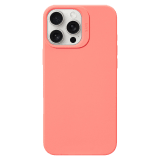 L_IP24B_HS_P