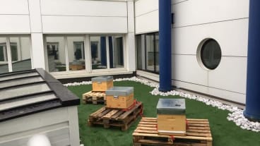 Clinique de l'Orangerie RSE ruches abeilles miel