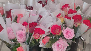 Journée Internationale des Infirmières