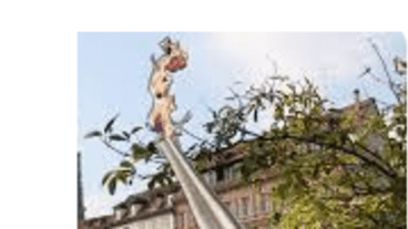 flamme olympique strasbourg