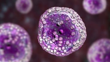 Lymphome : image de cellules cancéreuses du lymphome de Burkitt.