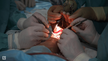 La Châtaigneraie est devenue "la référence" en matière de chirurgie de la main