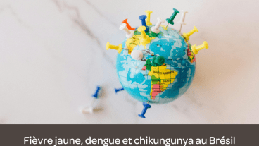 virus moustique bresil