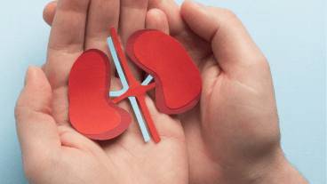 journée mondiale du rein