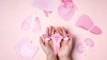 Quels sont les premiers symptômes d’un cancer gynécologique ? Image avec deux mains sur fond rose tenant une image de l'appareil génital féminin entourée de symboles représentant l'anatomie.