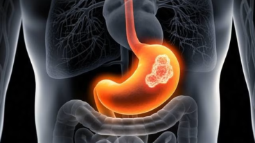 parcours viscéral et digestif 