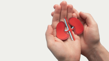 formation dpc chem nephro hpnl