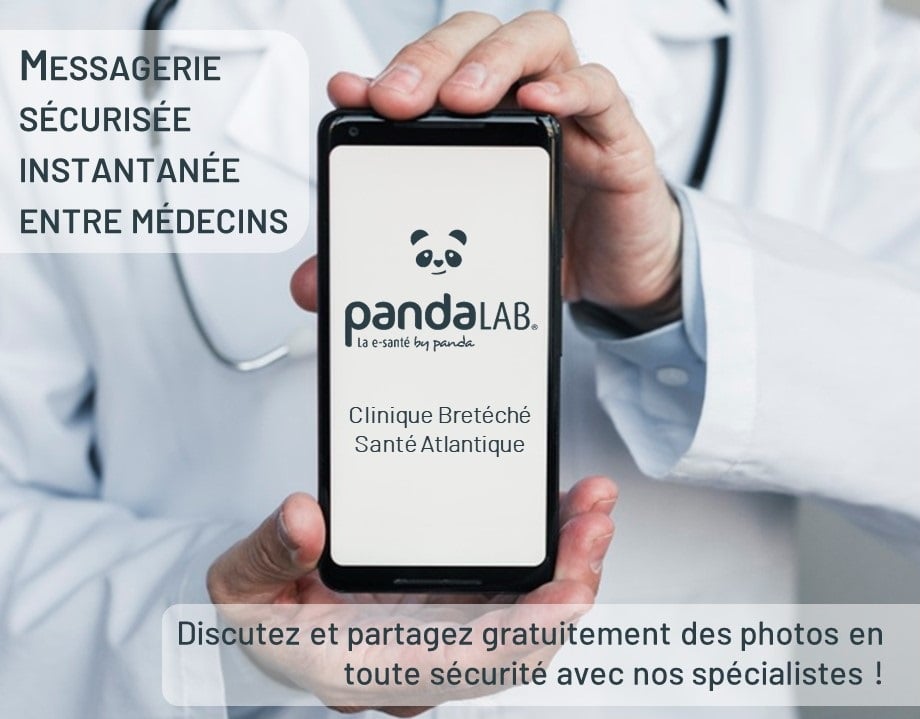pandalab