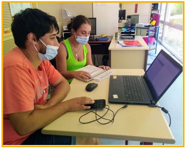 Activité saisie questionnaires